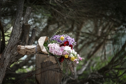 Bunch of cottage cut flowers in rustic country setting