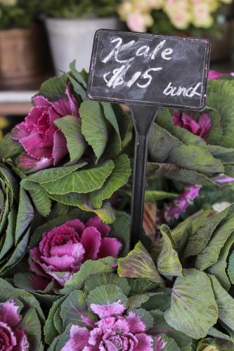 Bunch of fresh kale with pink flowers for sale at local market