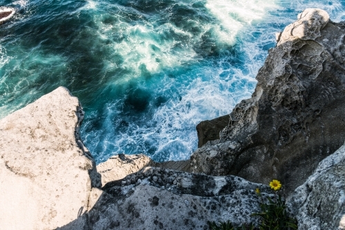 c;ose-up of colours of the sea and rocks with yellow wildflower