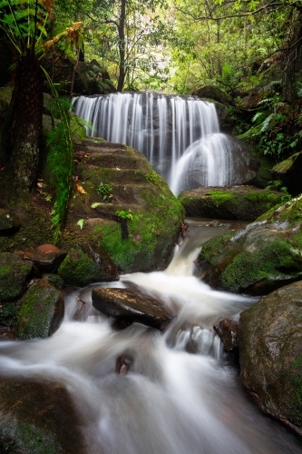 Cascading waterfalls and mountain streams through lush rainforest.