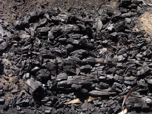 Charcoal remains of burned wood in a hollow