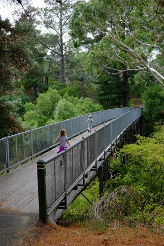 Children running across a bridge at Hepburn Mineral Springs Reserve
