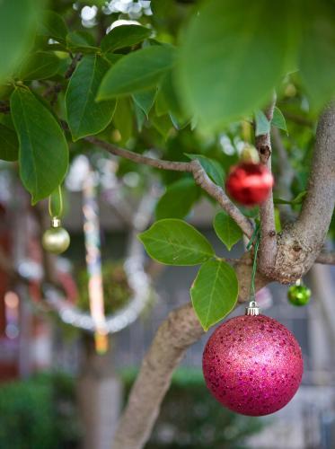 Christmas baubles and decorations hanging from trees