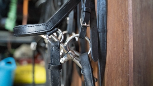 Close up of horse bridle
