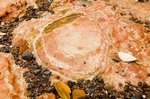 Close up shot of dinosaur footprints in orange and pink rock