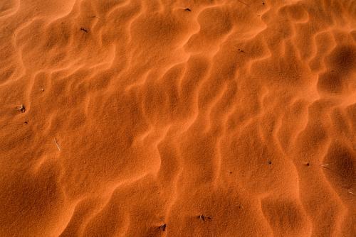 Closeup shot of deep orange desert sands with ripples