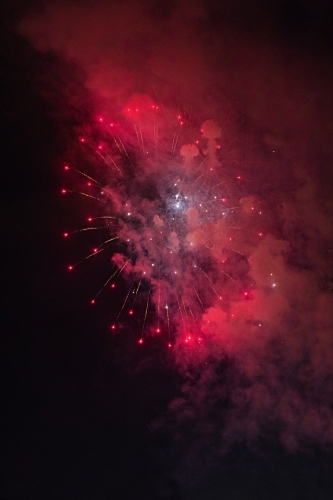 Colourful fireworks display in sky at night