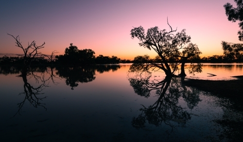 Colourful sunset scene over an inland lagoon with silhouetted trees and mirror reflections.
