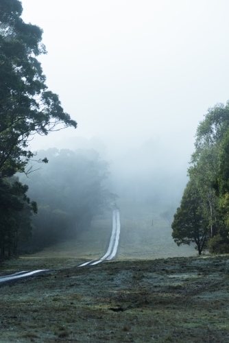 country dirt winding road into the mist