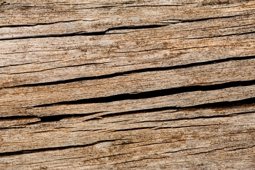 Cracked wood closeup