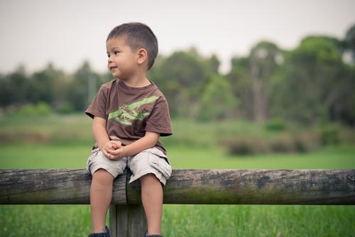 Cute 3 year old boy sits on a wooden log fence in a suburban park