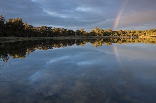 Distant rainbow and forest reflected in calm lakewaters at dawn