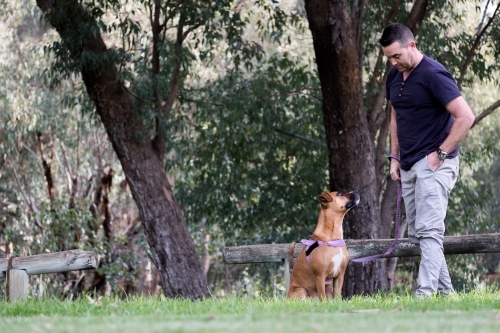 Dog sitting in park looking at male owner in park
