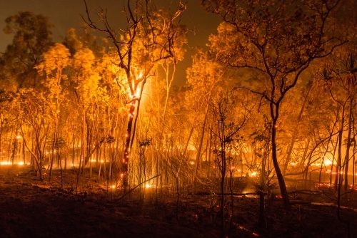 Dry season bushfire