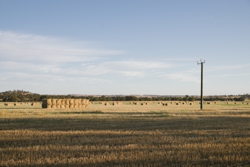 Farm landscape in Summer in the Avon Valley of Western Australia