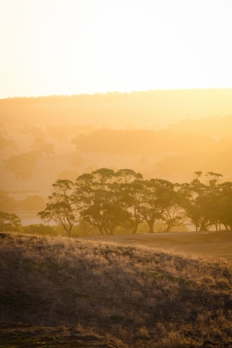 Farming landscape at sunset in the Avon Valley in Western Australia