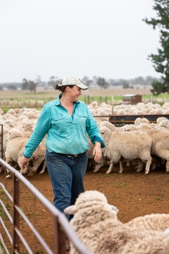 Female farmer in the sheep yards