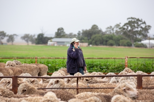 Female farmer making a phone call in the yards