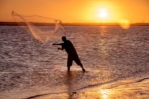 Fisherman throwing a cast net at sunset.