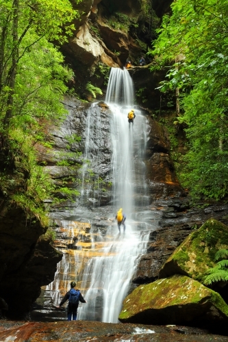Five people abseiling down and through the waterfall at Empress Falls in the Blue Mountains of NSW