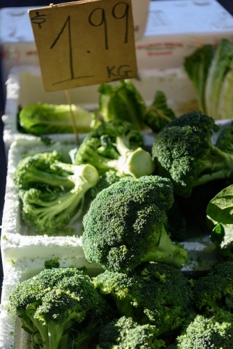 Fresh broccoli for sale with price tag on the market.