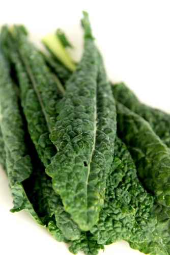 Fresh green kale on white