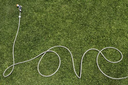 Garden hose shaped to form the word love on a green lawn