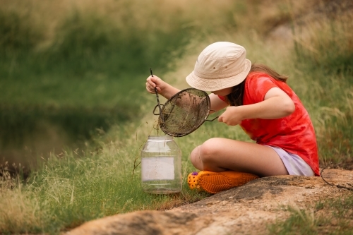 Girl catching tadpoles. Outdoor nature activity.