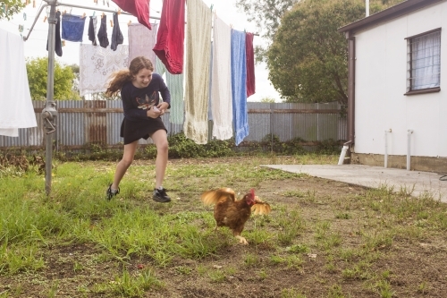 Girl chasing chicken in rural backyard