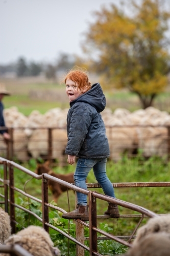 Girl having fun in the sheep yards