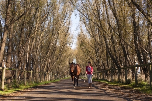 Girl walking her horse in scenic background.