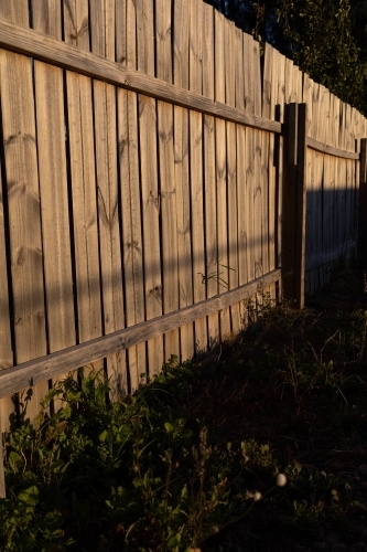 Golden sunshine on handmade wooden fence