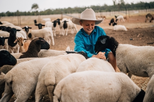Happy kid with sheep on a farm