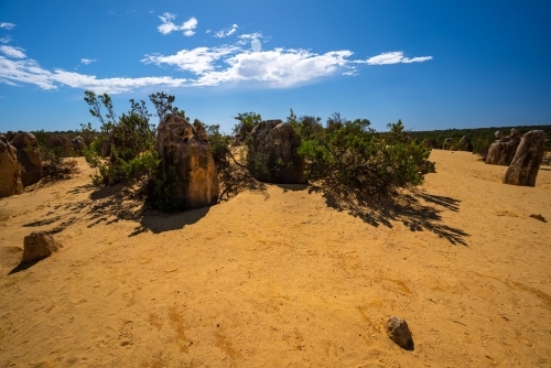 horizontal shot of an outback with trees and rocks on a sunny day with blue and white skies