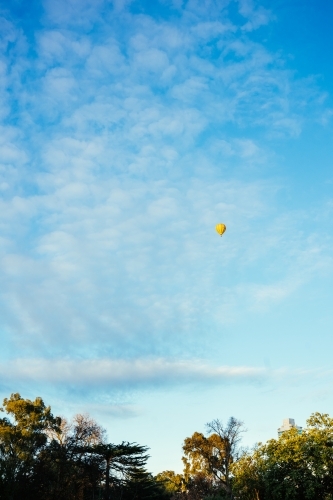 Hot Air Balloon on blue sky and trees