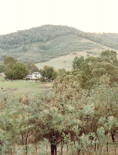 House at the base of a mountain with trees in the foreground