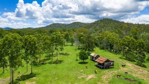 Kroombit Tops National Park summer landscape with disused homestead and vibrant green vegetation, Qu
