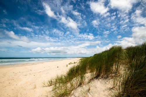 Long sandy ocean beach with coastal vegetation and dramatic blue cloudy sky