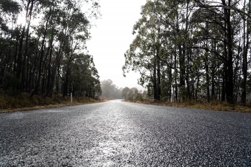 Low angle shot of wet bitumen country road