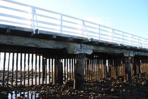 Low view of wooden pier at low tide