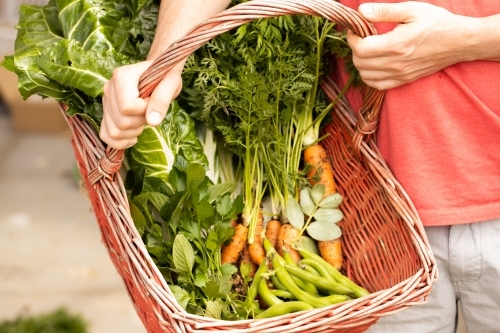 Man holding a red basket with fresh picked vegetables in it with focus on man's hands