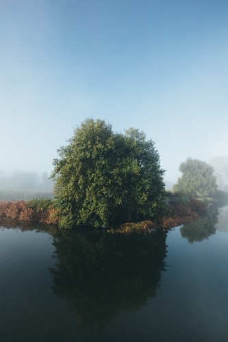 Misty morning beside a river with calm water, reeds and trees
