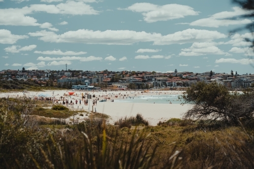 People enjoying Maroubra Beach on a bright summers day