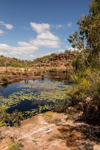 People swimming in a Kimberley Waterhole