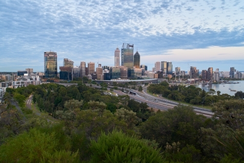 Perth City Skyline from King's Park in the evening.