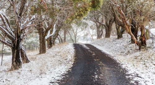 Road through snow covered trees and rural fields.  Australia