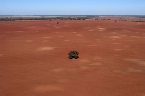 Rural Outback Aerial Landscape With One Tree