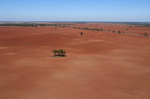 Rural Outback Aerial Landscape With Trees