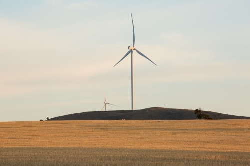 Rural Wind Turbine in a farm setting