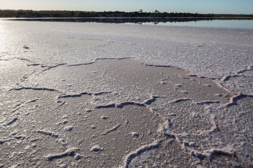 Salt crust pattern on salt lake